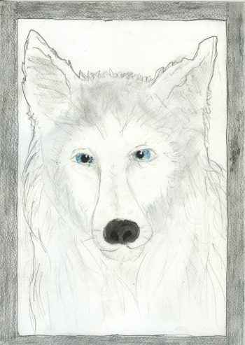 Dessin de noemie