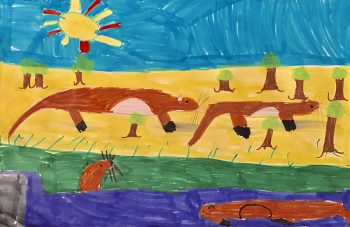 Dessin de Louis