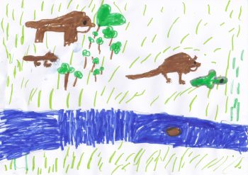 Dessin de louis
