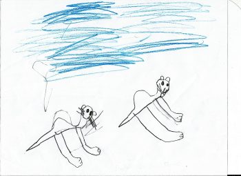 Dessin de Raphaël