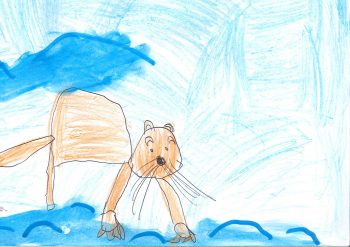 Dessin de Anaïs