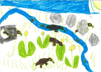 Dessin de Eliott