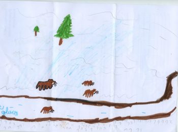 Dessin de Gus