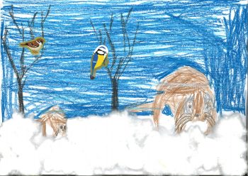 Dessin de Louis