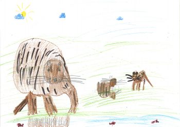 Dessin de Mathys