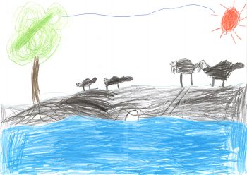 Dessin de Olivier