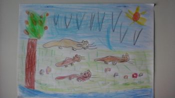 Dessin de Leonie