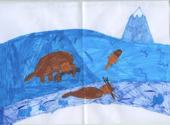 Dessin de Camille