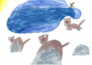 Dessin de Camille