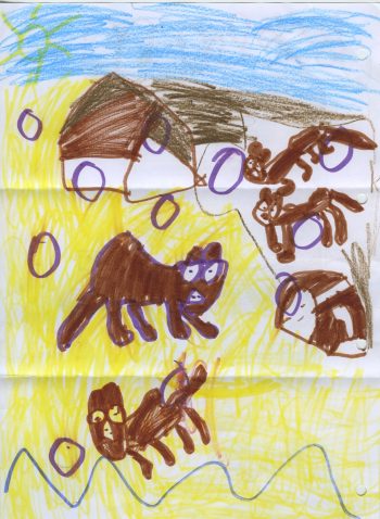 Dessin de Esteban