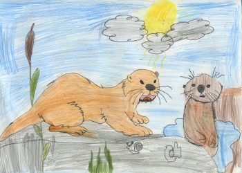 Dessin de Laorans