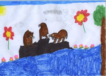 Dessin de Laurene