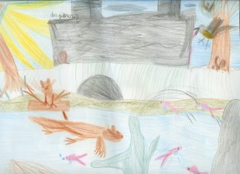 Dessin de Lucie