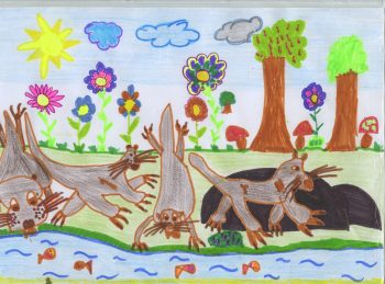Dessin de Maurane