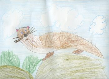 Dessin de Nolwenn