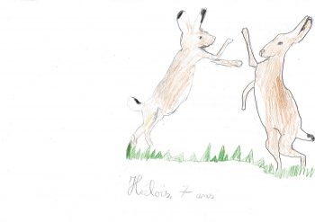 Dessin de Héloïs