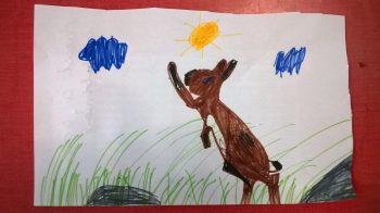 Dessin de Marcel