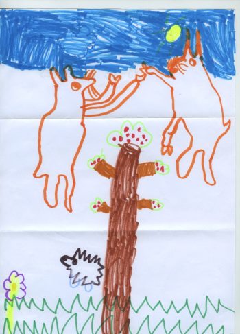 Dessin de Abelia
