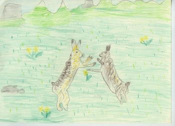 Dessin de Enorine