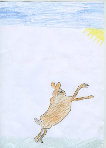 Dessin de Hilaire