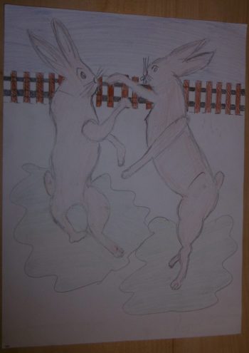 Dessin de Louna