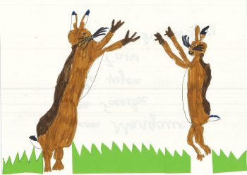 Dessin de Margaux
