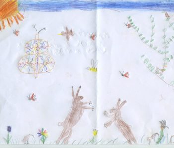 Dessin de Myrtille