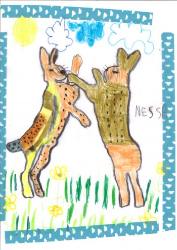 Dessin de Nessa