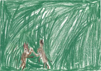 Dessin de Robin