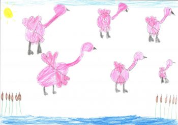Dessin de Elisa