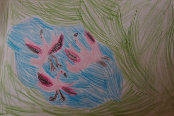 Dessin de Josephine