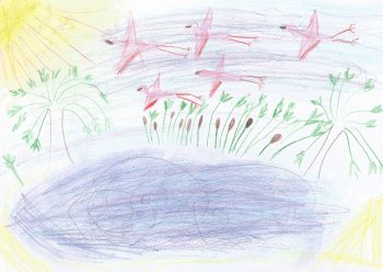 Dessin de Myrtille