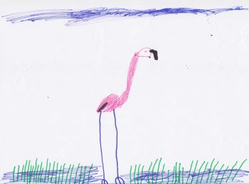 Dessin de Robinson