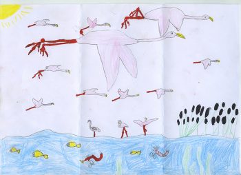 Dessin de Julie