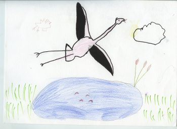 Dessin de Anouk