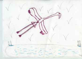 Dessin de Hamza