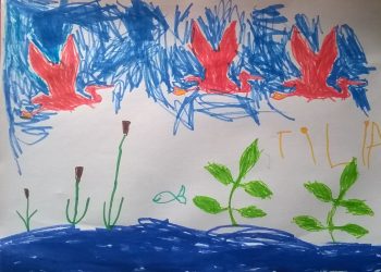 Dessin de Tilia