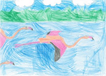 Dessin de Sophia
