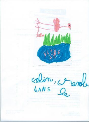 Dessin de Colin