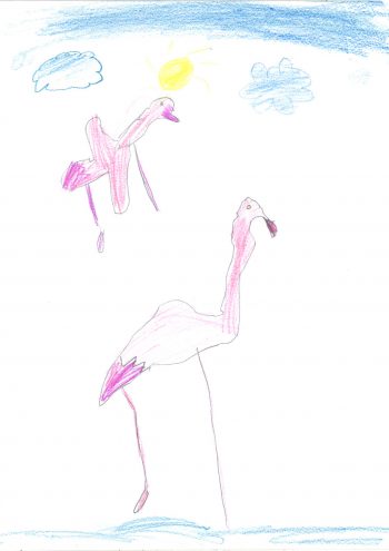 Dessin de Lindsey