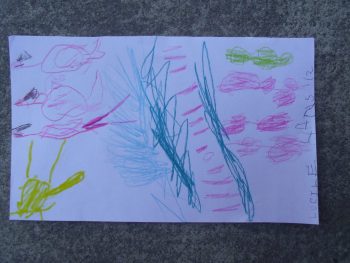Dessin de Lucile