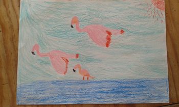 Dessin de Maelo
