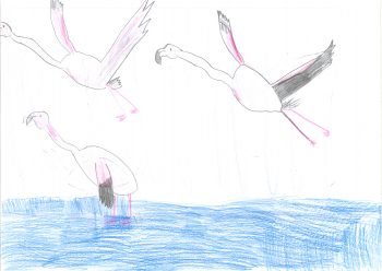 Dessin de Mathys