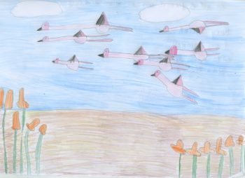 Dessin de Samy