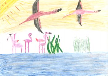 Dessin de Sophie