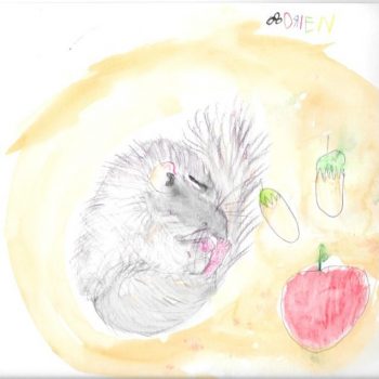 Dessin de Adrien