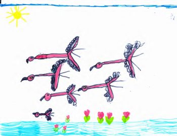 Dessin de Mélisse