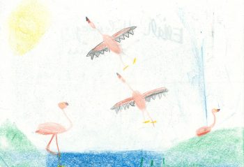 Dessin de Eliah