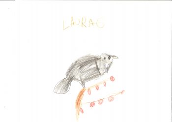 Dessin de Laura