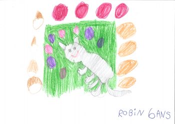 Dessin de Robin